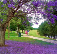 Howe Park - Lismore Accommodation