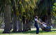 Jellicoe Park - thumb 0