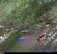 Kerewong State Forest - Lismore Accommodation