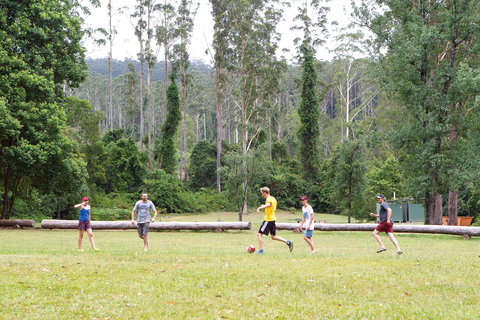 Kerewong State Forest - Lismore Accommodation 1