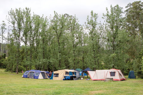 Kerewong State Forest - Lismore Accommodation 2