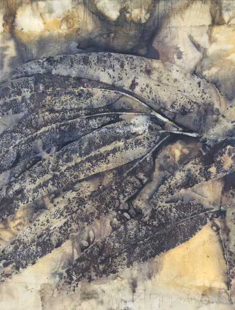 Lyrebirds Lair Gallery And Gifts - Lismore Accommodation 1