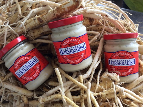 Newman's Horseradish Farm And Rusticana Wines - Lismore Accommodation 0