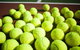 Old Bar Tennis Club - thumb 0