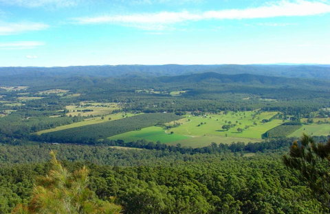 Sherwood Nature Reserve - Lismore Accommodation 0