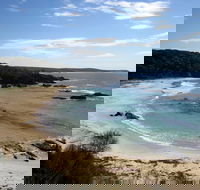 Snorkelling Mystery Bay - Lismore Accommodation