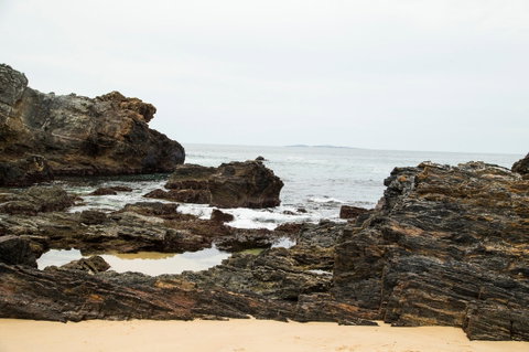 Snorkelling Mystery Bay - Lismore Accommodation 1
