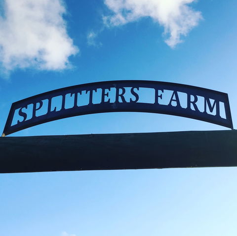 Splitters Farm - Lismore Accommodation 2