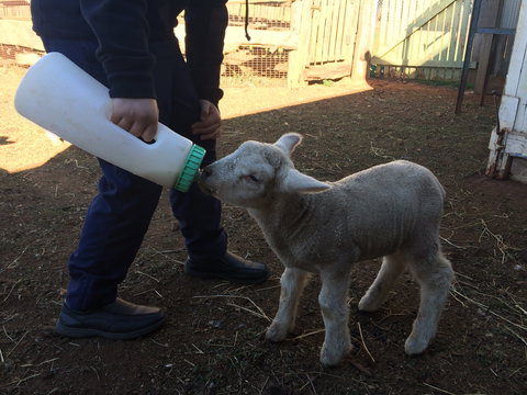 Taralga Wildlife Park - Lismore Accommodation 0