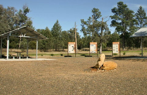 Terry Hie Hie Aboriginal Area - Lismore Accommodation 0