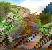 Woody Island Nature Reserve - Lismore Accommodation