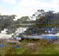 Baldwin Swamp Environmental Park - Lismore Accommodation