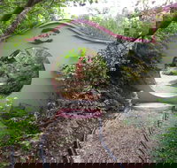 Black Dragon Gardens Wulong Yuan - Lismore Accommodation