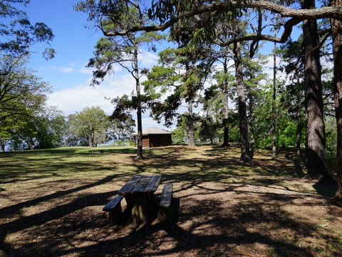 Bowen Mountain Park - Lismore Accommodation 0