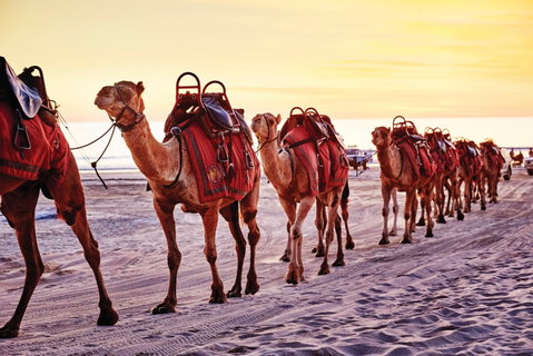 Broome And The Kimberley Coast - Lismore Accommodation 0