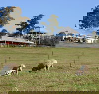Calmsley Hill City Farm - Lismore Accommodation