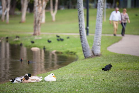 Centenary Lakes Park - Lismore Accommodation 2