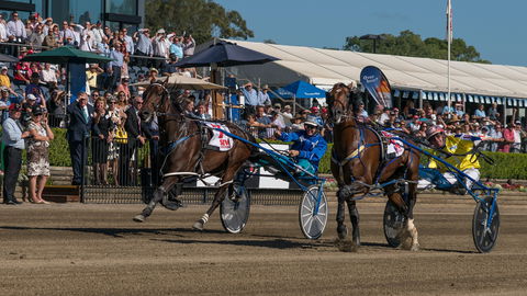 Club Menangle - Lismore Accommodation 2