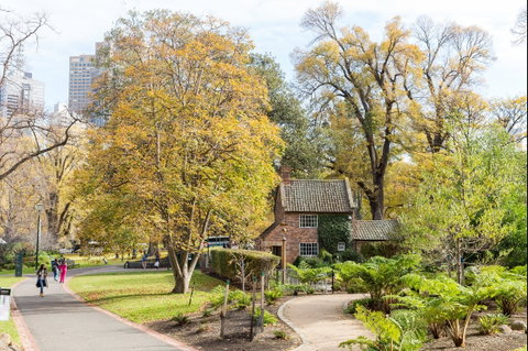 Cooks' Cottage - Lismore Accommodation 1