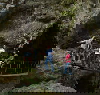 Day trips from Rockhampton - Lismore Accommodation