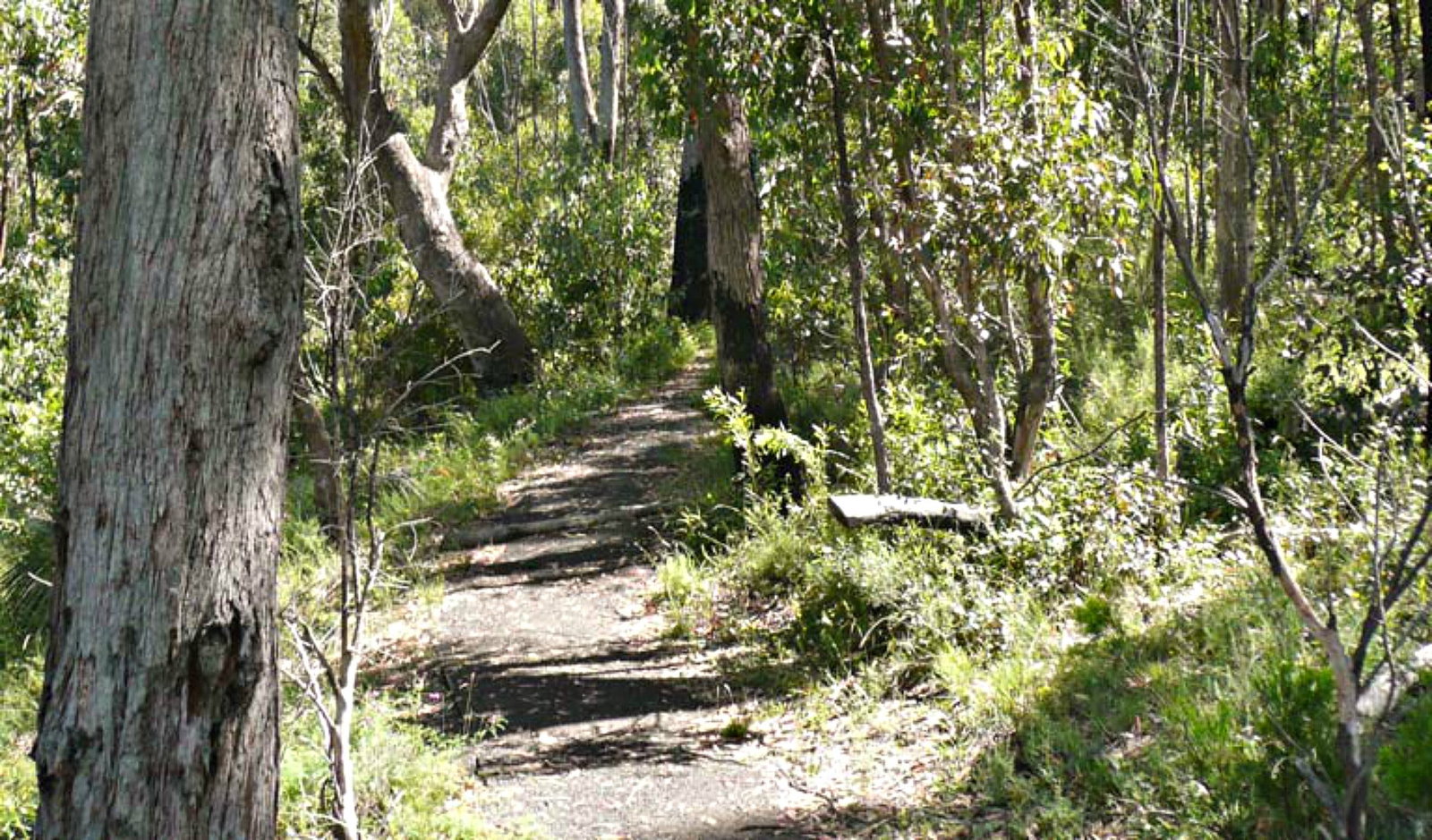  Lismore Accommodation