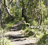 Euglah Rock Walking Track - Lismore Accommodation