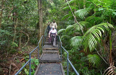 Falls Walking Track - Lismore Accommodation 0