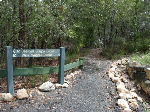 Haig Street Quarry Bushland Reserve Trails - Lismore Accommodation 1