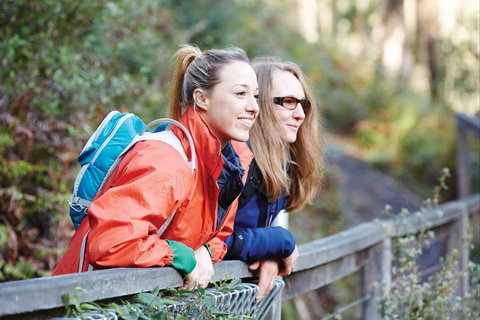 Kinglake National Park - Lismore Accommodation 2