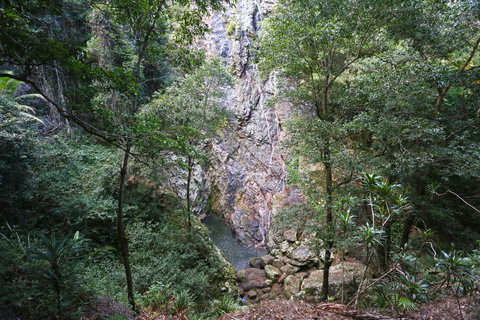 Kondalilla Falls Circuit, Kondalilla National Park - Lismore Accommodation 0