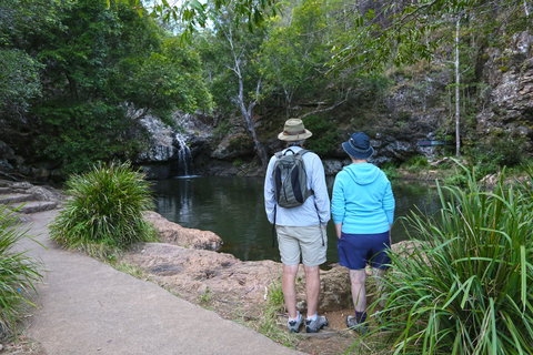 Kondalilla Falls Circuit, Kondalilla National Park - Lismore Accommodation 1