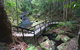 Kondalilla Falls Circuit, Kondalilla National Park - thumb 2