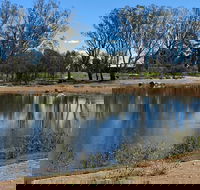 Lake King Wetlands at Rutherglen - Lismore Accommodation