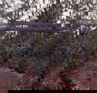 Marrinup Trail Dwellingup - Lismore Accommodation