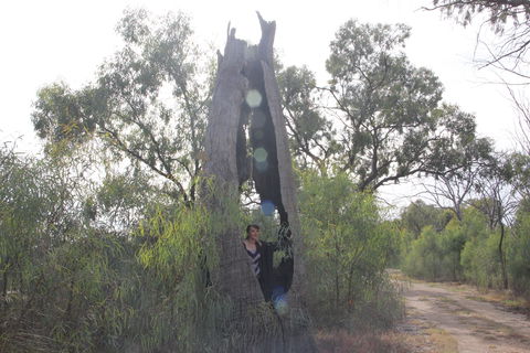 Martin Bend Wetland And Walking Trail - Lismore Accommodation 1