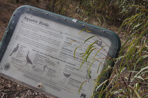 Martin Bend Wetland And Walking Trail - Lismore Accommodation 2