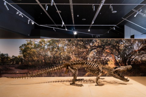 Megafauna Central - Lismore Accommodation 0