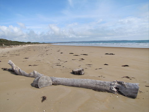 Narawntapu National Park - Lismore Accommodation 2