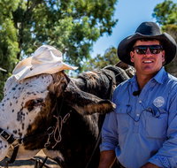 Outback Stockman's Show - Lismore Accommodation