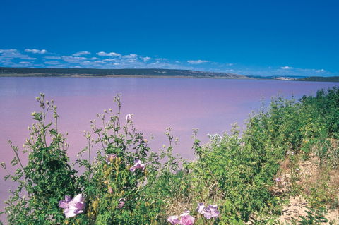 Port Gregory - Lismore Accommodation 0
