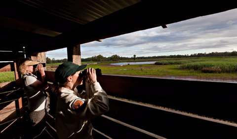 Reed Beds Bird Hide Boardwalk - Lismore Accommodation 0