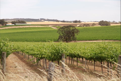Smidge Wines Tasting Room - Lismore Accommodation 0