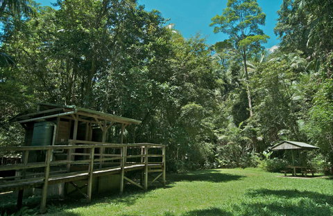 Terania Creek Picnic Area - Lismore Accommodation 0