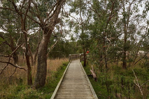 The Briars Park Walking Trails - Lismore Accommodation 0
