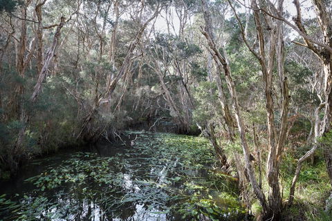 The Briars Park Walking Trails - Lismore Accommodation 2