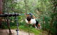 TreeTop Challenge - thumb 0