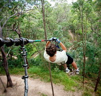 TreeTop Challenge - Lismore Accommodation