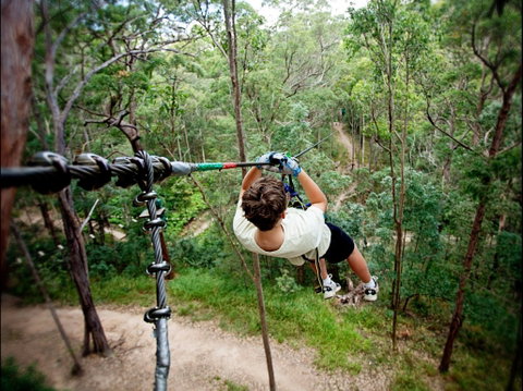 TreeTop Challenge - Lismore Accommodation 0