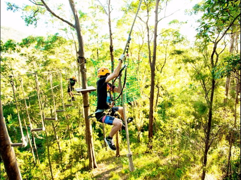 TreeTop Challenge - Lismore Accommodation 1