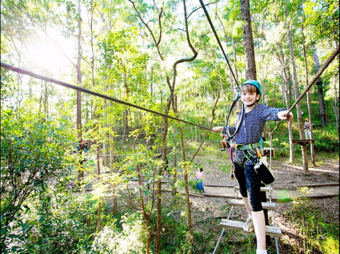 TreeTop Challenge - Lismore Accommodation 2